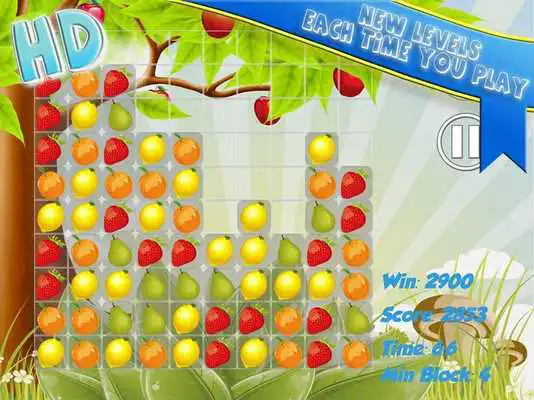 Play Master Block Crush HD Fruits