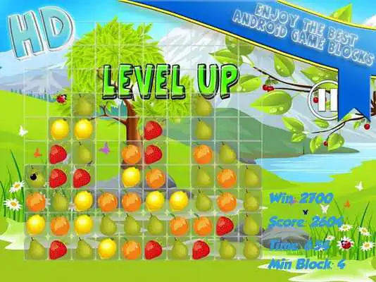 Play Master Block Crush HD Fruits