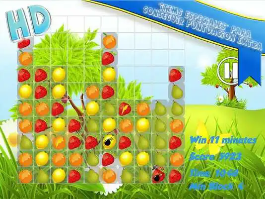 Play Master Block Crush HD Fruits