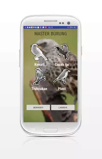 Play MASTER BURUNG