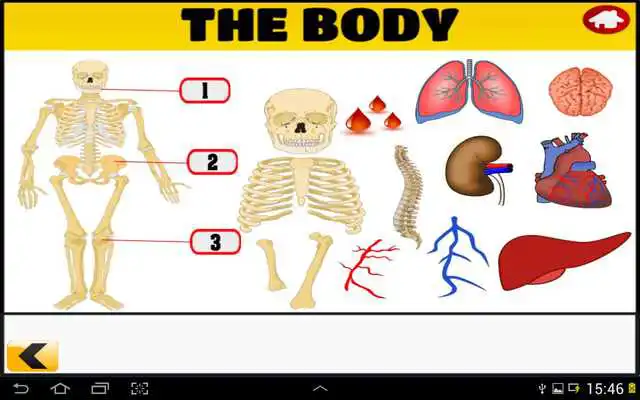 Play Master English Vocabulary Play Master English Vocabulary