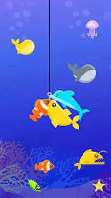 Play Master Fishing Fun