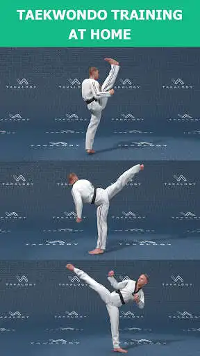 Play Mastering Taekwondo at Home as an online game Mastering Taekwondo at Home with UptoPlay