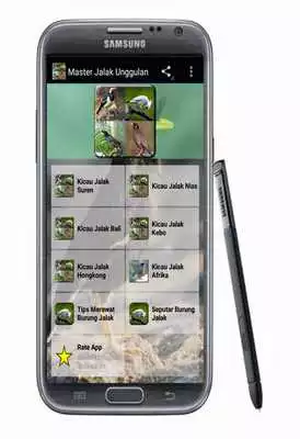 Play Master Jalak Unggulan