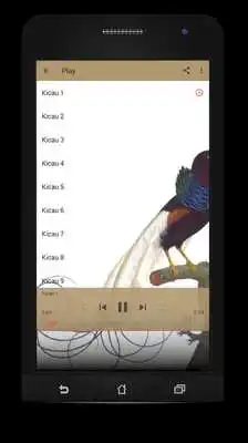 Play Master Kicau Burung Cendrawasih