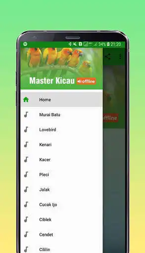 Play Master Kicau Burung Offline