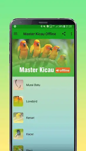Play Master Kicau Burung Offline