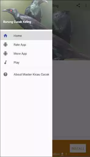 Play Master Kicau Cucak Keling