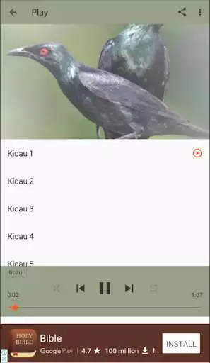 Play Master Kicau Cucak Keling