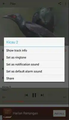 Play Master Kicau Cucak Keling