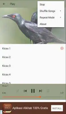 Play Master Kicau Cucak Keling