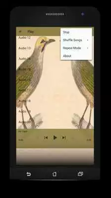 Play Master Kicau Cucak Rowo
