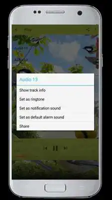 Play Master Kicau GreatTit
