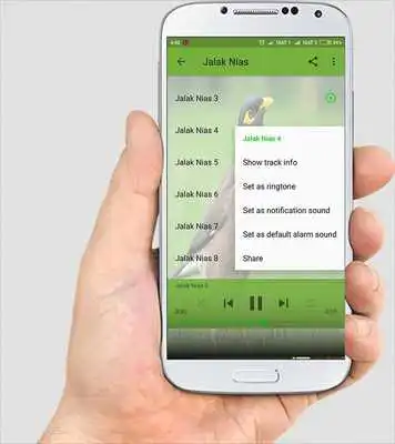 Play MASTER KICAU JALAK NIAS LENGKAP