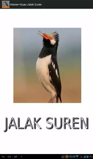 Play Master Kicau Jalak Suren