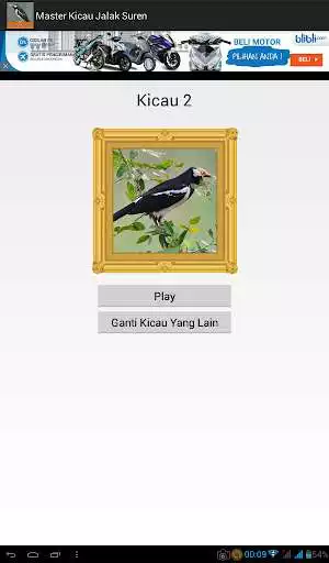 Play Master Kicau Jalak Suren