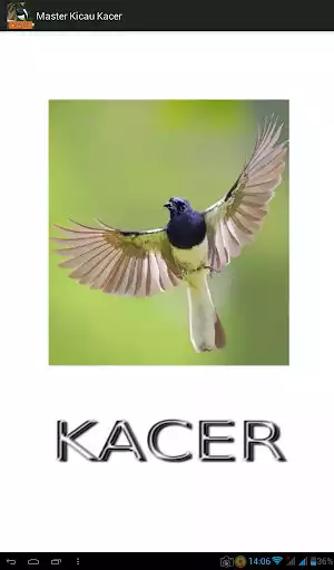 Play Master Kicau Kacer  and enjoy Master Kicau Kacer with UptoPlay
