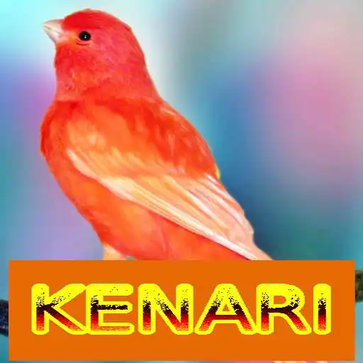 Run free android online Master Kicau Kenari APK