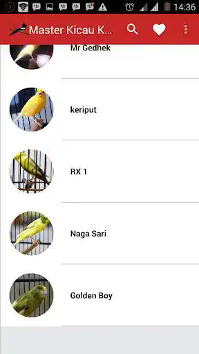 Play APK Master Kicau Kenari Legenda  and enjoy Master Kicau Kenari Legenda with UptoPlay com.phipaya.masterkicaukenarilegenda