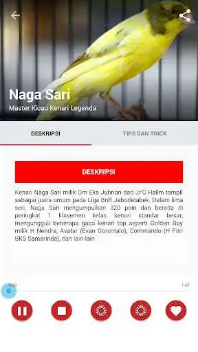 Play APK Master Kicau Kenari Legenda  and enjoy Master Kicau Kenari Legenda with UptoPlay com.phipaya.masterkicaukenarilegenda