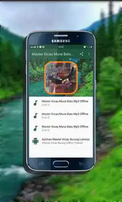 Play Master Kicau Murai Batu Mp3