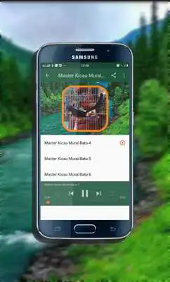 Play Master Kicau Murai Batu Mp3