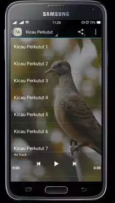 Play Master Kicau Perkutut