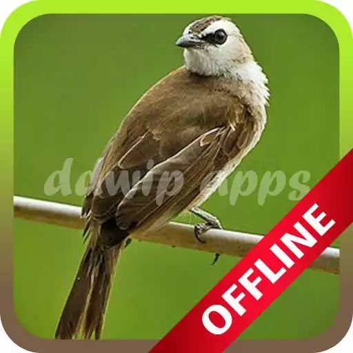 Run free android online Master Kicau Trucukan Gacor APK Run free android online Master Kicau Trucukan Gacor APK