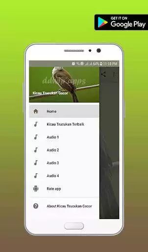 Play APK Master Kicau Trucukan Gacor  and enjoy Master Kicau Trucukan Gacor with UptoPlay com.ddwipapps.KicauTrucukanGacor