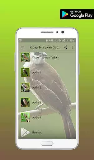 Play APK Master Kicau Trucukan Gacor  and enjoy Master Kicau Trucukan Gacor with UptoPlay com.ddwipapps.KicauTrucukanGacor