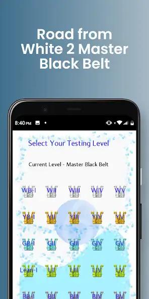 Play Master Lean Six Sigma - Quiz as an online game Master Lean Six Sigma - Quiz with UptoPlay