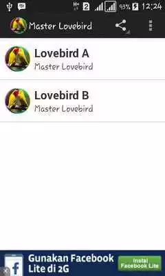 Play Master Lovebird