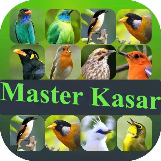 Free play online Master Suara Burung Kasar APK