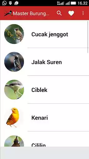 Play Master Suara Burung Kasar