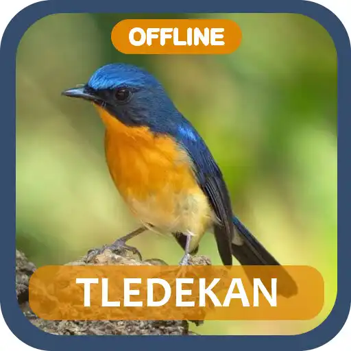 Play Master Tledekan Gacor Offline APK Play Master Tledekan Gacor Offline APK