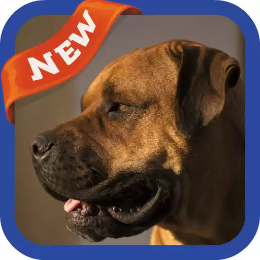Free play online Mastiff Wallpaper APK