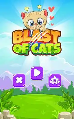 Play Match 3 Cat Games