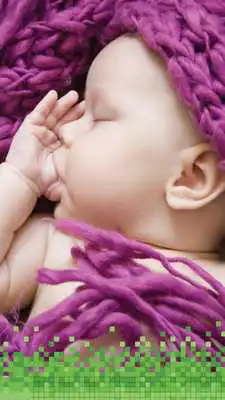 Play Match Baby Sounds