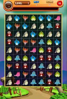 Play Match The Birds