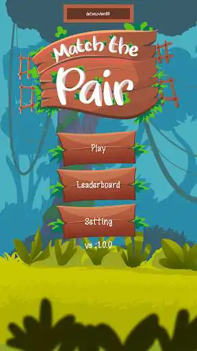 Play Match The Pair