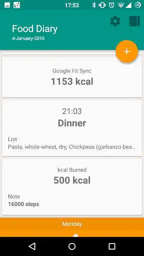 Play Material Food Diary