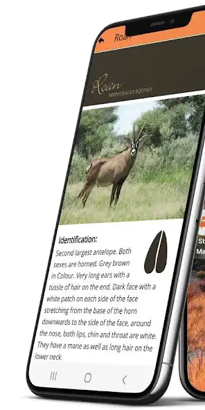 Play Mattanu Private Game Reserve  and enjoy Mattanu Private Game Reserve with UptoPlay