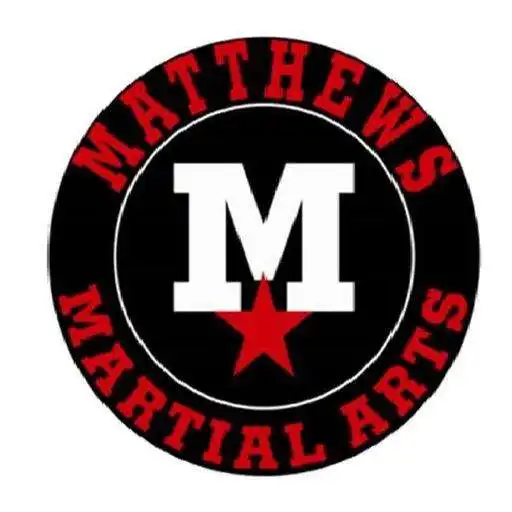 Free play online Matthews Karate Team APK