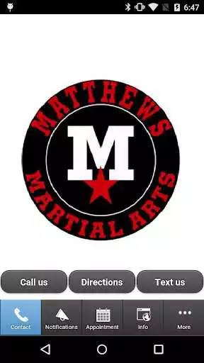Play Matthews Karate Team