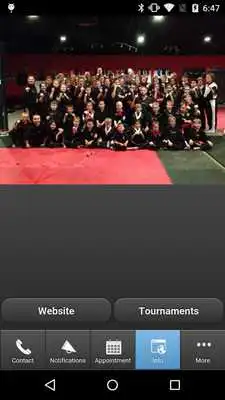 Play Matthews Karate Team
