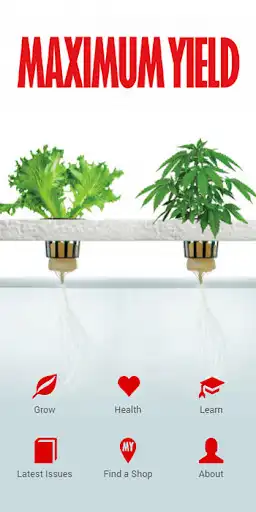 Play Maximum Yield  and enjoy Maximum Yield with UptoPlay