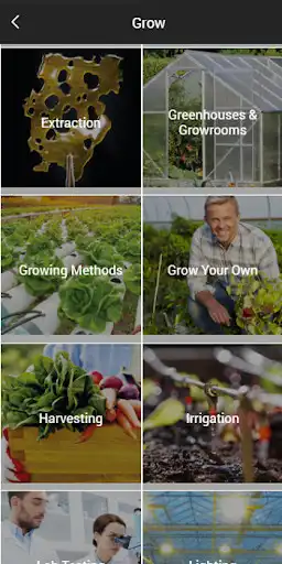 Play Maximum Yield as an online game Maximum Yield with UptoPlay