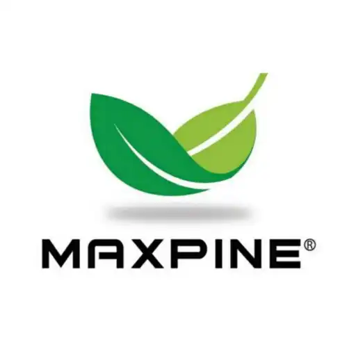 Play MAXPINE By GFIN APK Play MAXPINE By GFIN APK