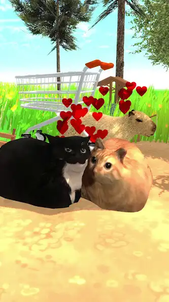 Play Maxwell Cat Runner  and enjoy Maxwell Cat Runner with UptoPlay