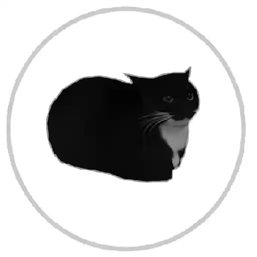 Play Maxwell Runner - maxwell cat APK Play Maxwell Runner - maxwell cat APK